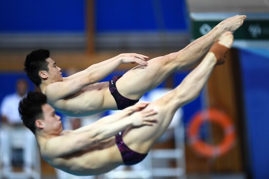 Diving. FINA world series 2018. Day one