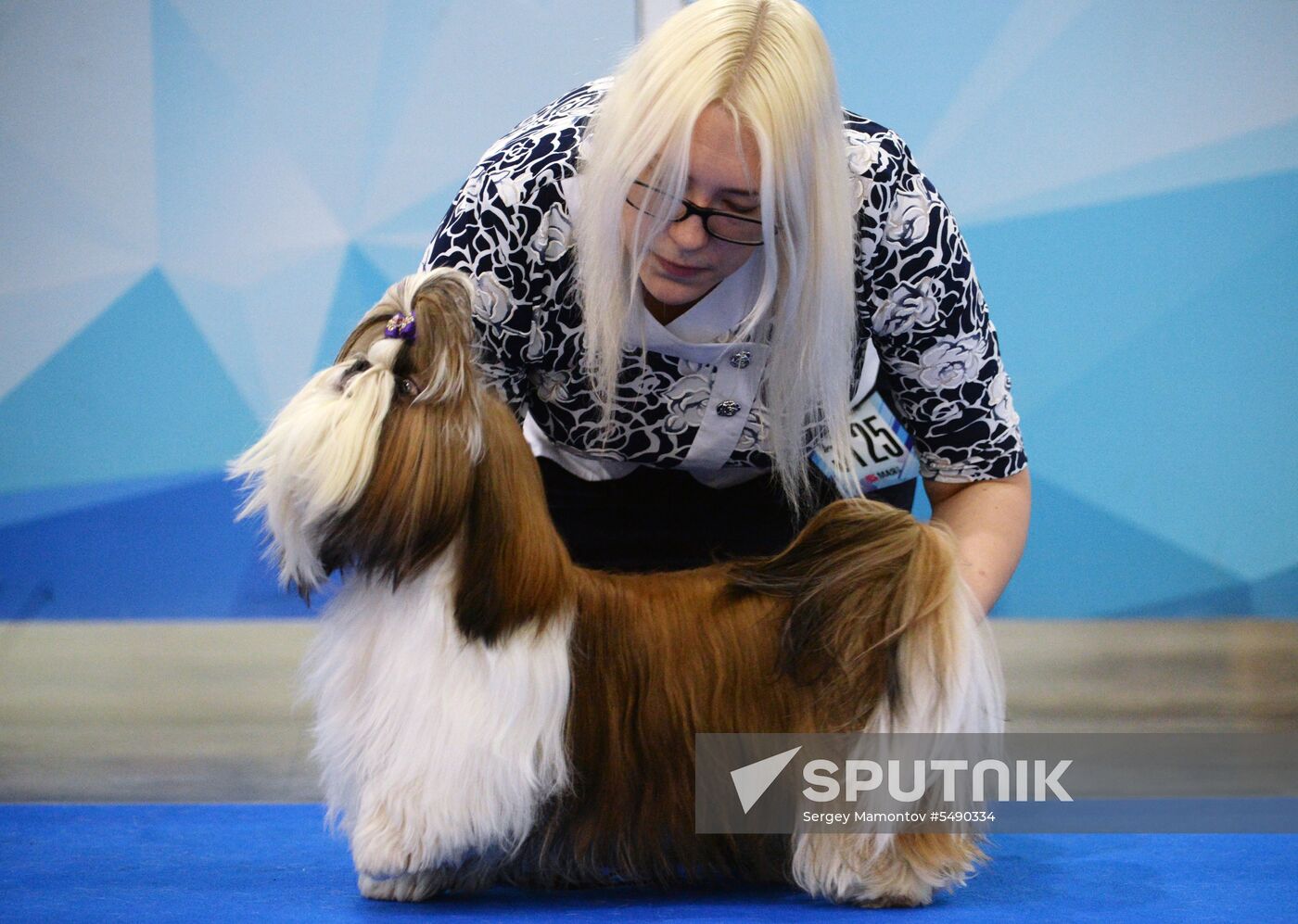 Eurasia 2018 dog show