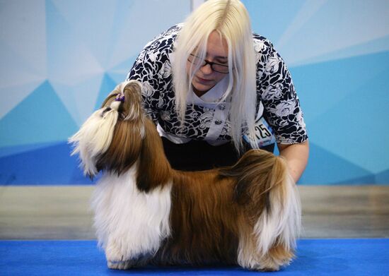 Eurasia 2018 dog show
