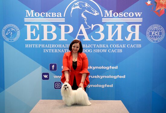 Eurasia 2018 dog show