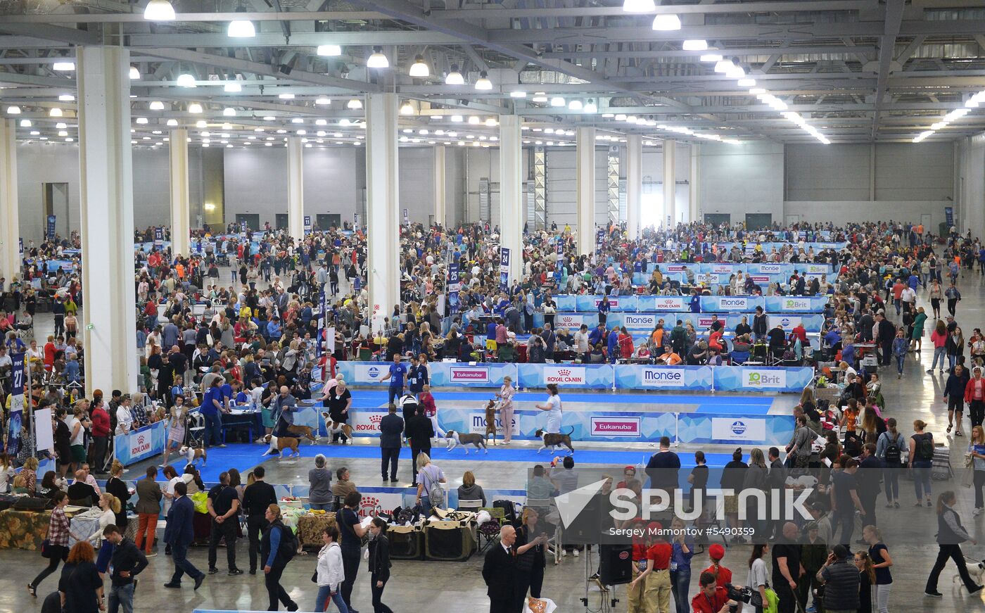 Eurasia 2018 dog show