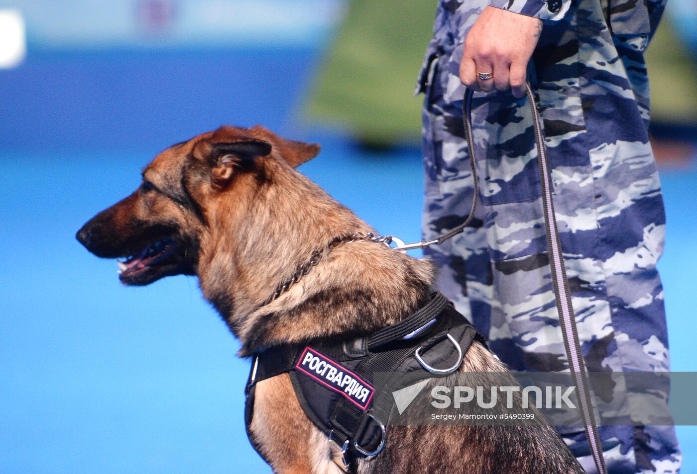 Eurasia 2018 dog show
