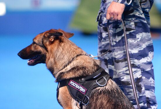 Eurasia 2018 dog show
