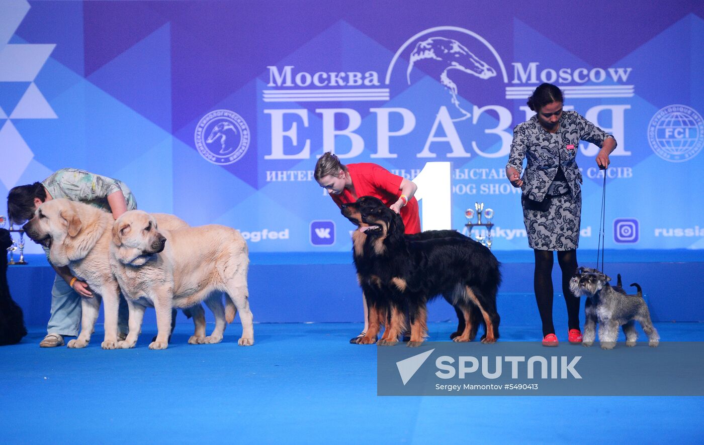 Eurasia 2018 dog show