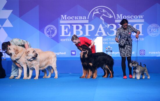 Eurasia 2018 dog show