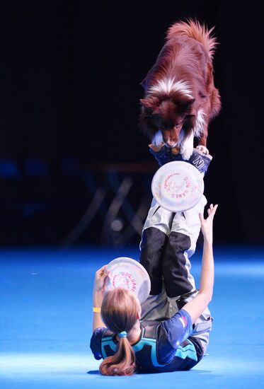 Eurasia 2018 dog show