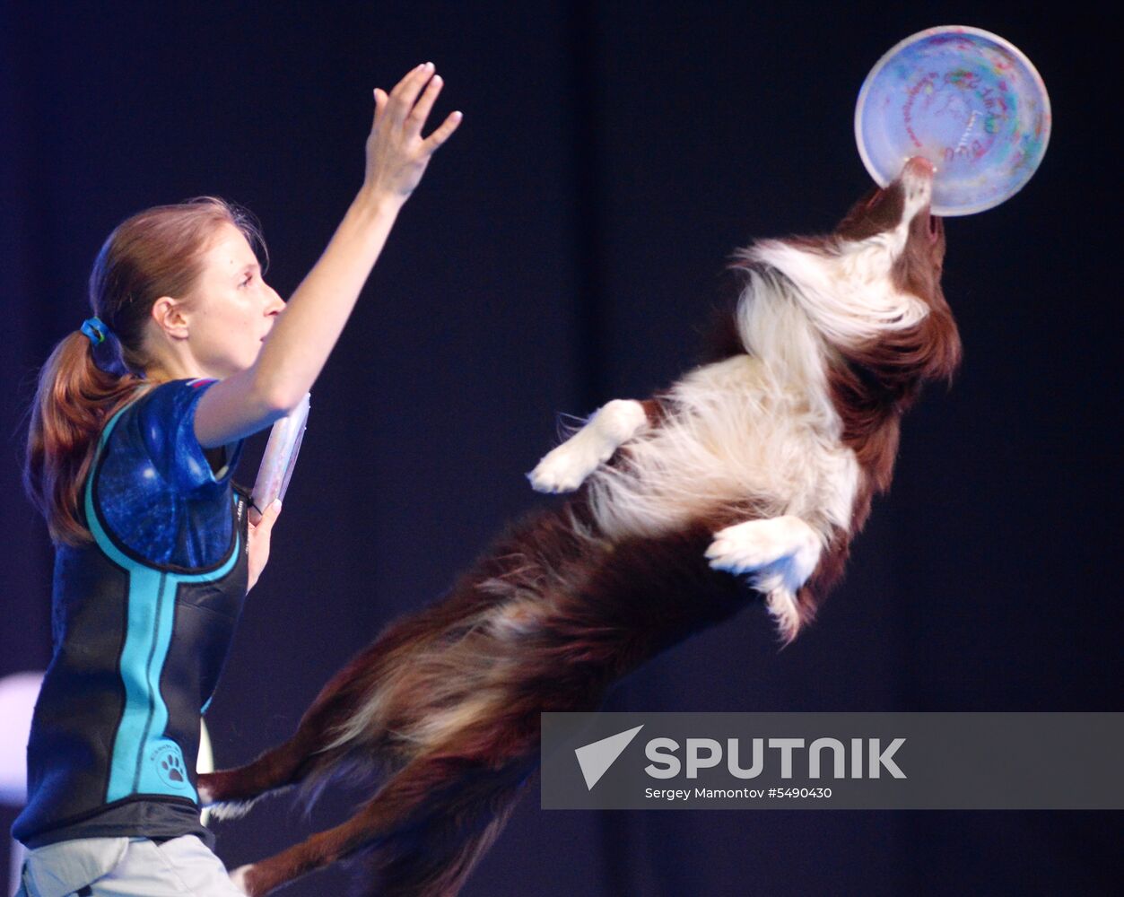 Eurasia 2018 dog show