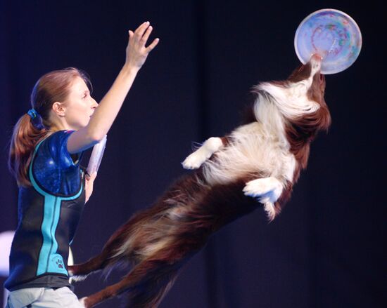 Eurasia 2018 dog show