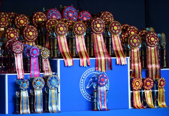Eurasia 2018 dog show