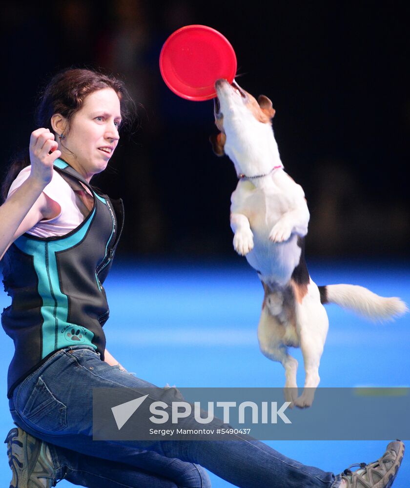 Eurasia 2018 dog show