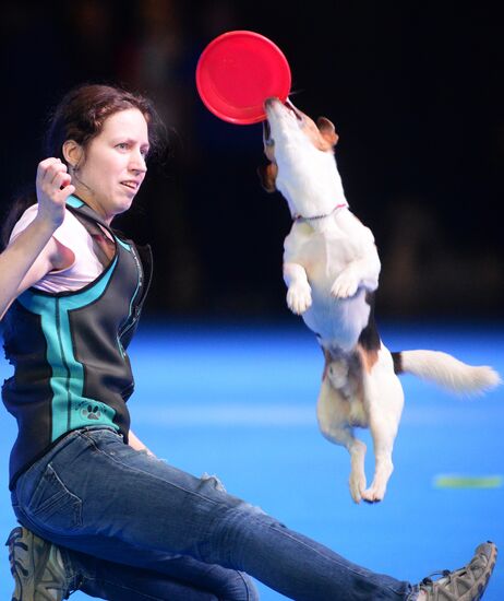 Eurasia 2018 dog show