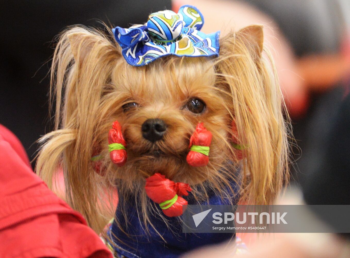Eurasia 2018 dog show