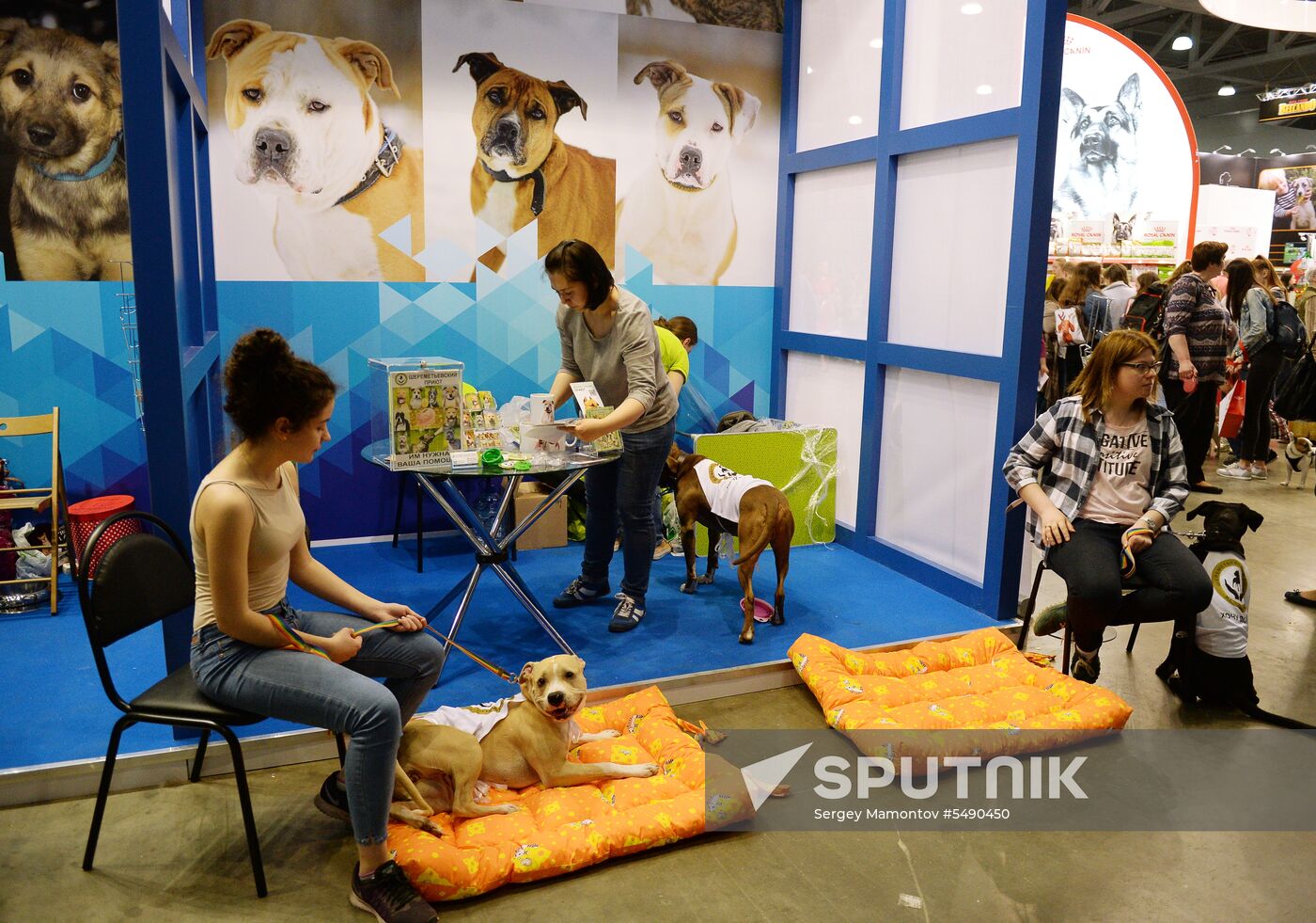 Eurasia 2018 dog show