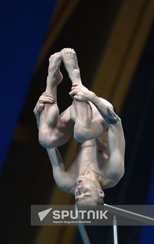 Diving. FINA Diving World Series. Day three