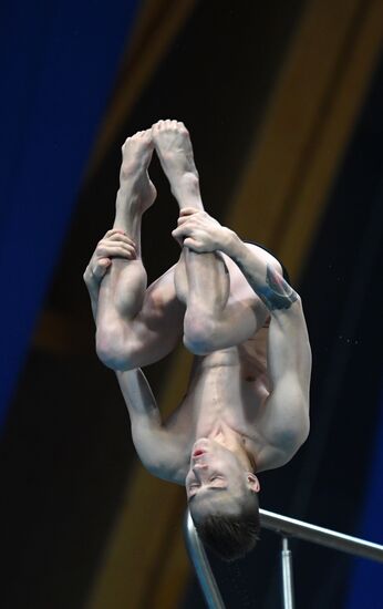 Diving. FINA Diving World Series. Day three