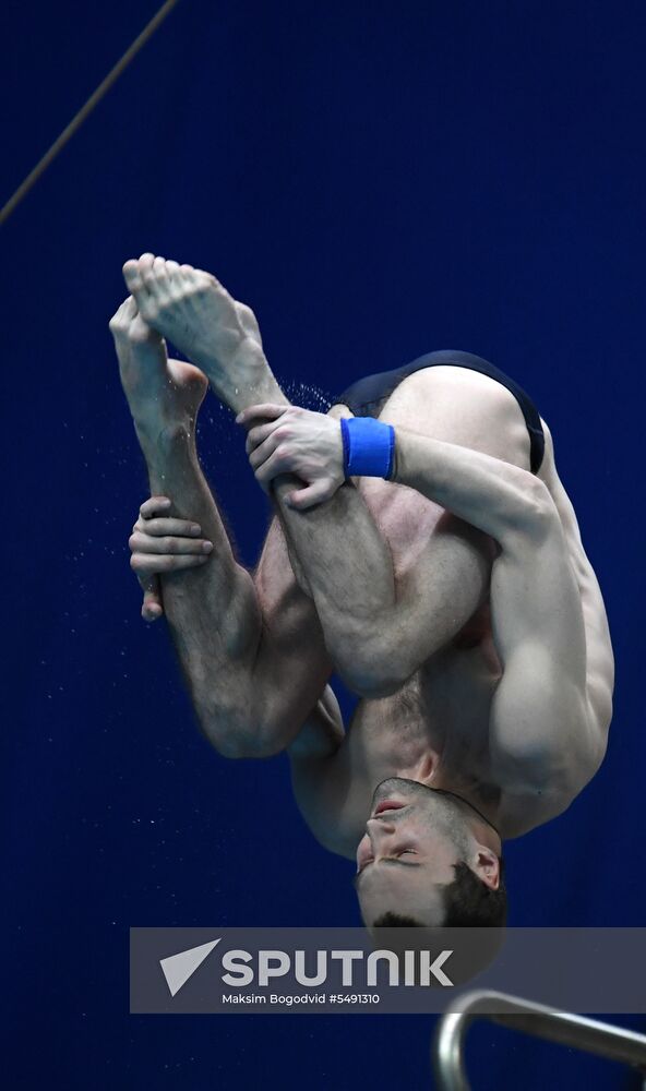 Diving. FINA Diving World Series. Day three