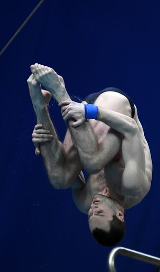 Diving. FINA Diving World Series. Day three