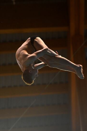 Diving. FINA Diving World Series. Day three