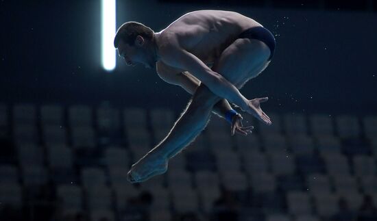 Diving. FINA Diving World Series. Day three
