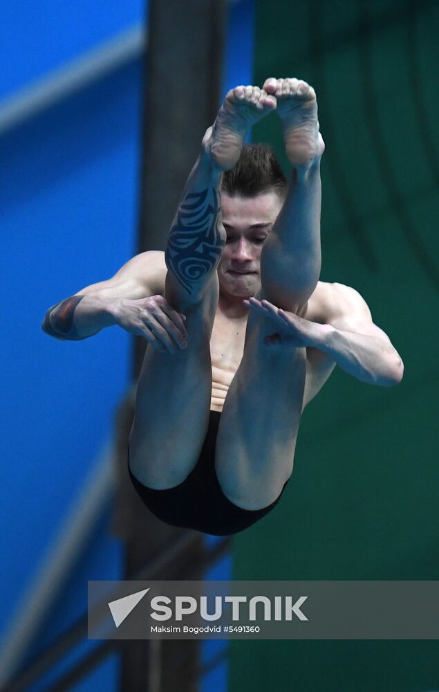 Diving. FINA Diving World Series. Day three