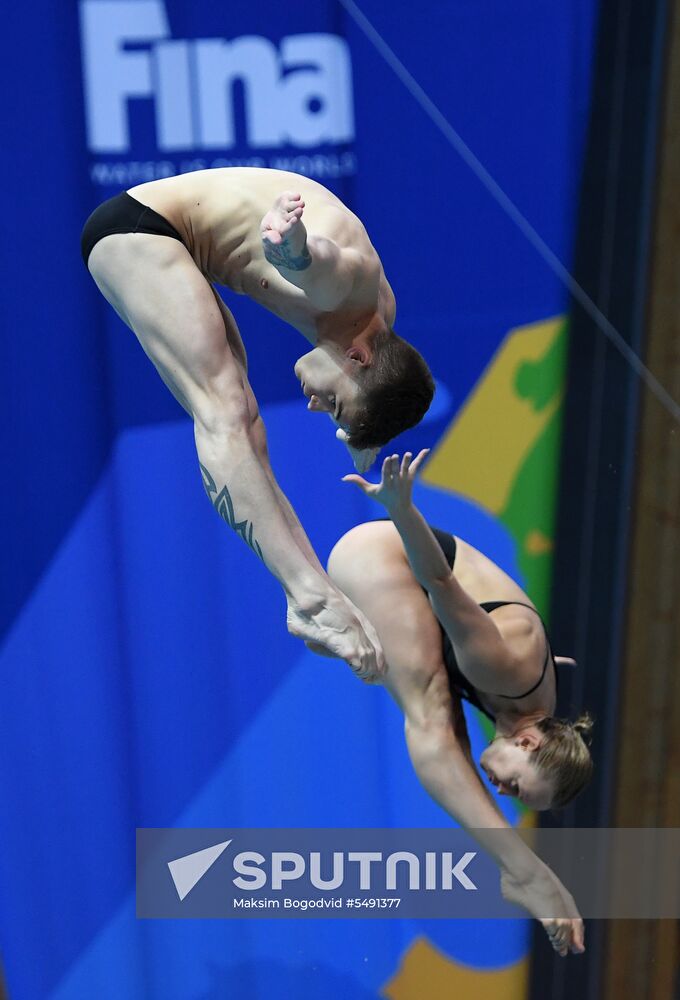 Diving. FINA Diving World Series. Day three