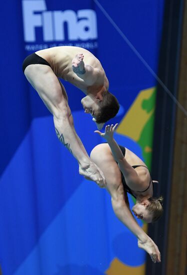 Diving. FINA Diving World Series. Day three