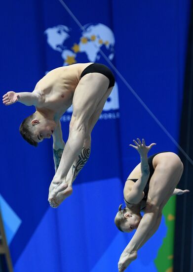 Diving. FINA Diving World Series. Day three