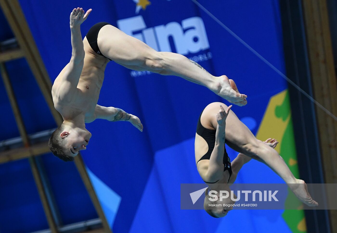 Diving. FINA Diving World Series. Day three