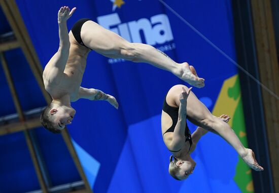 Diving. FINA Diving World Series. Day three