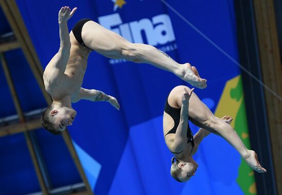 Diving. FINA Diving World Series. Day three