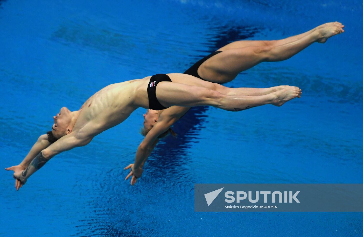 Diving. FINA Diving World Series. Day three
