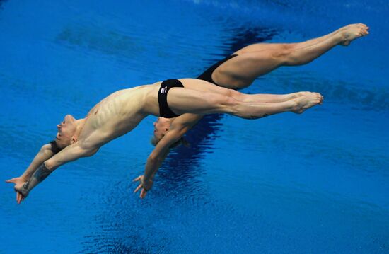 Diving. FINA Diving World Series. Day three