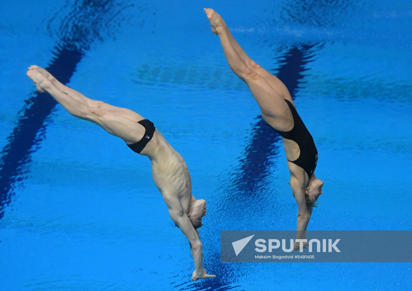 Diving. FINA Diving World Series. Day three
