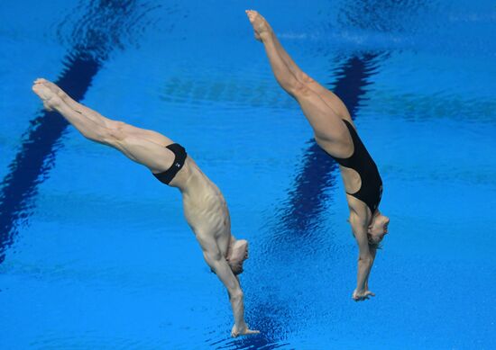 Diving. FINA Diving World Series. Day three