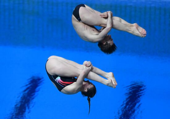 Diving. FINA Diving World Series. Day three