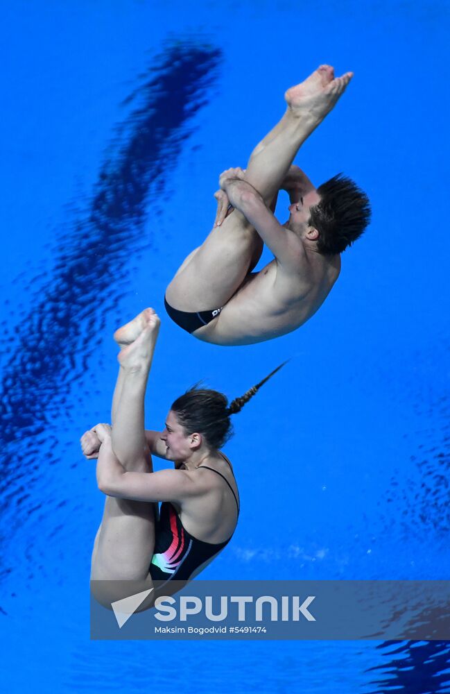 Diving. FINA Diving World Series. Day three