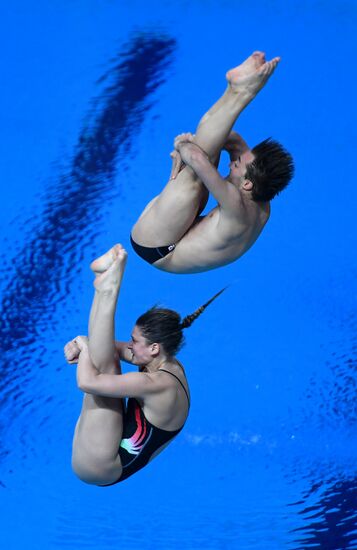 Diving. FINA Diving World Series. Day three