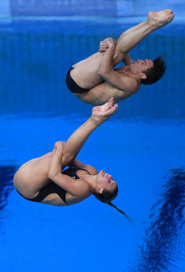 Diving. FINA Diving World Series. Day three