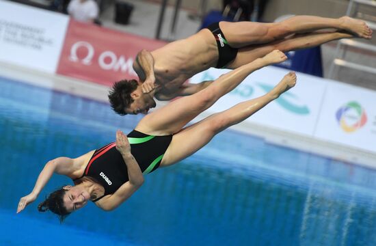 Diving. FINA Diving World Series. Day three