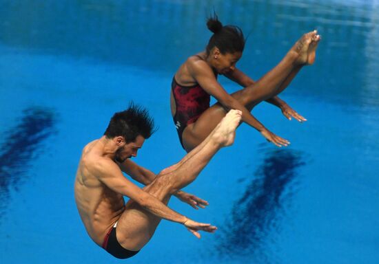 Diving. FINA Diving World Series. Day three