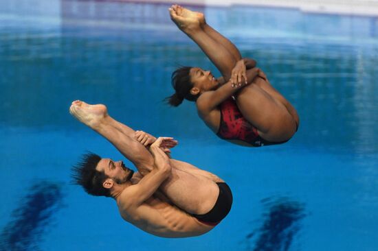 Diving. FINA Diving World Series. Day three