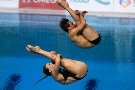 Diving. FINA Diving World Series. Day three
