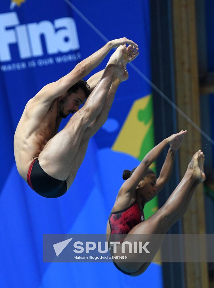 Diving. FINA Diving World Series. Day three