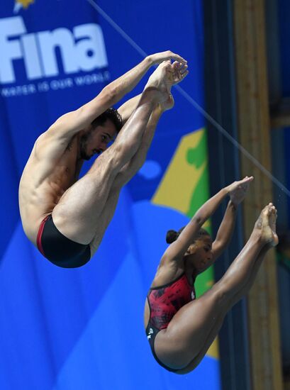 Diving. FINA Diving World Series. Day three