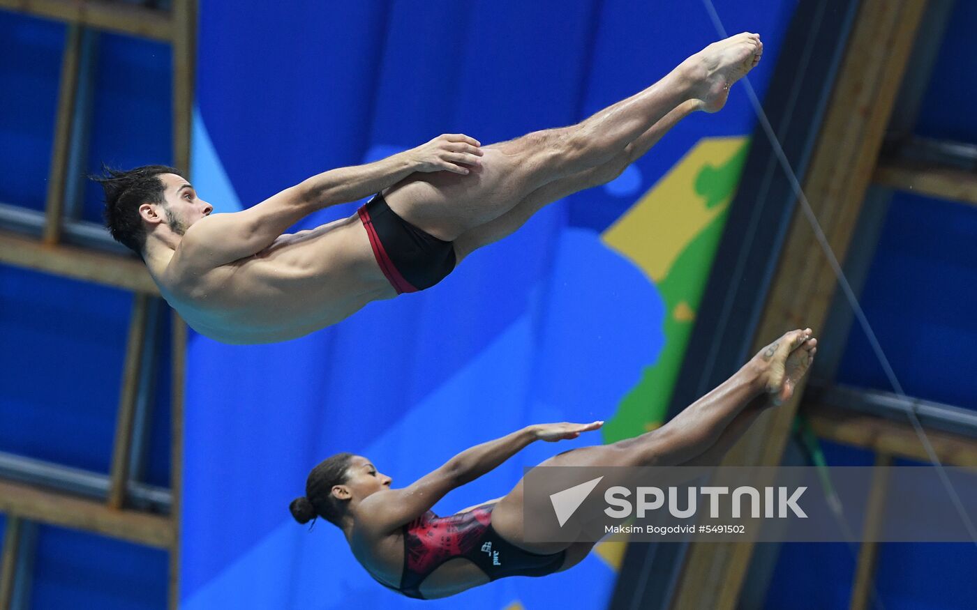 Diving. FINA Diving World Series. Day three