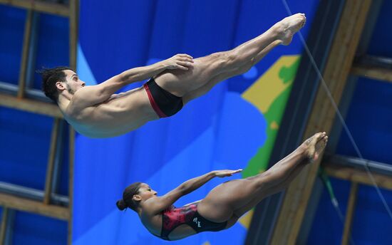 Diving. FINA Diving World Series. Day three