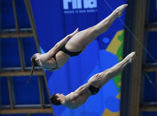 Diving. FINA Diving World Series. Day three