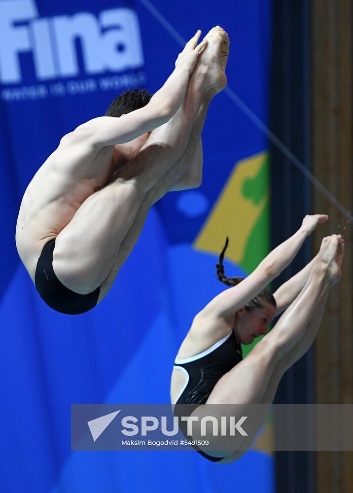 Diving. FINA Diving World Series. Day three