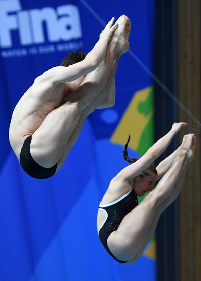 Diving. FINA Diving World Series. Day three