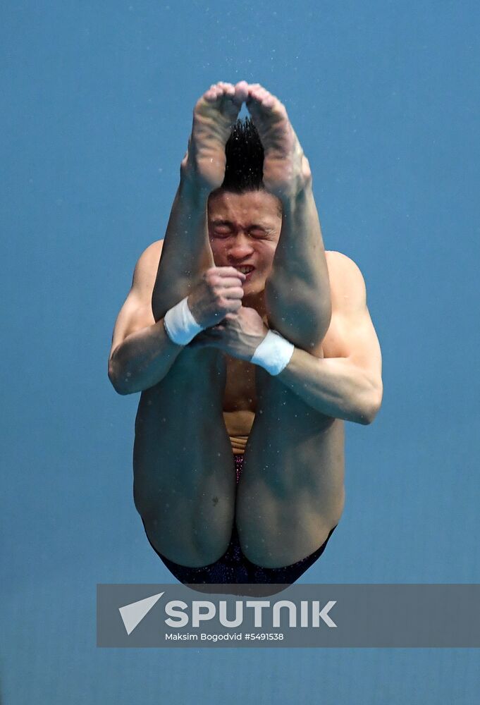 Diving. FINA Diving World Series. Day three